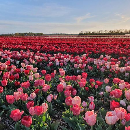 Buitenhuis Egmond Egmond aan den Hoef Buitenkant foto