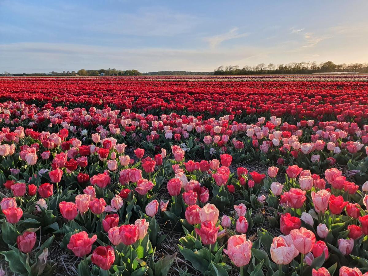 Buitenhuis Egmond Egmond aan den Hoef Buitenkant foto